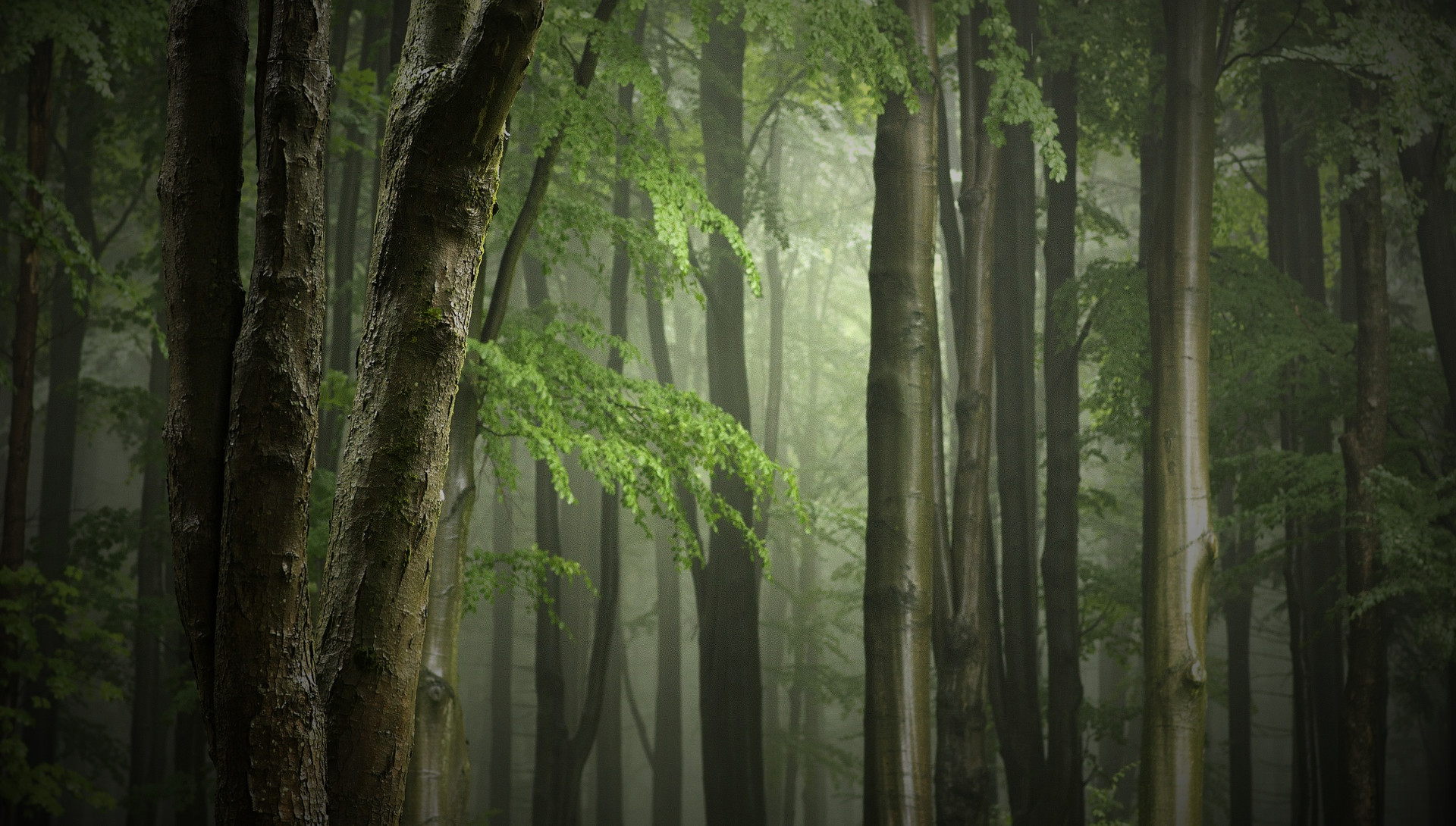 Healing Retreats