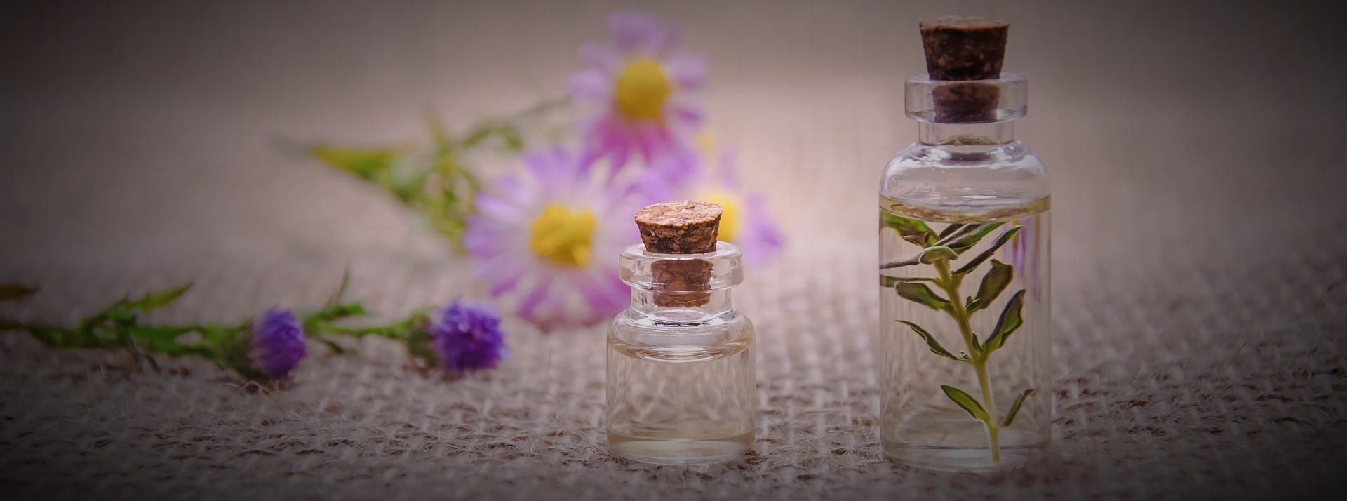 Health & Wellness Retreats