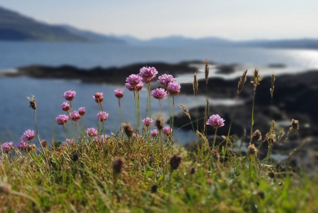 Greenleaves Retreats Mull