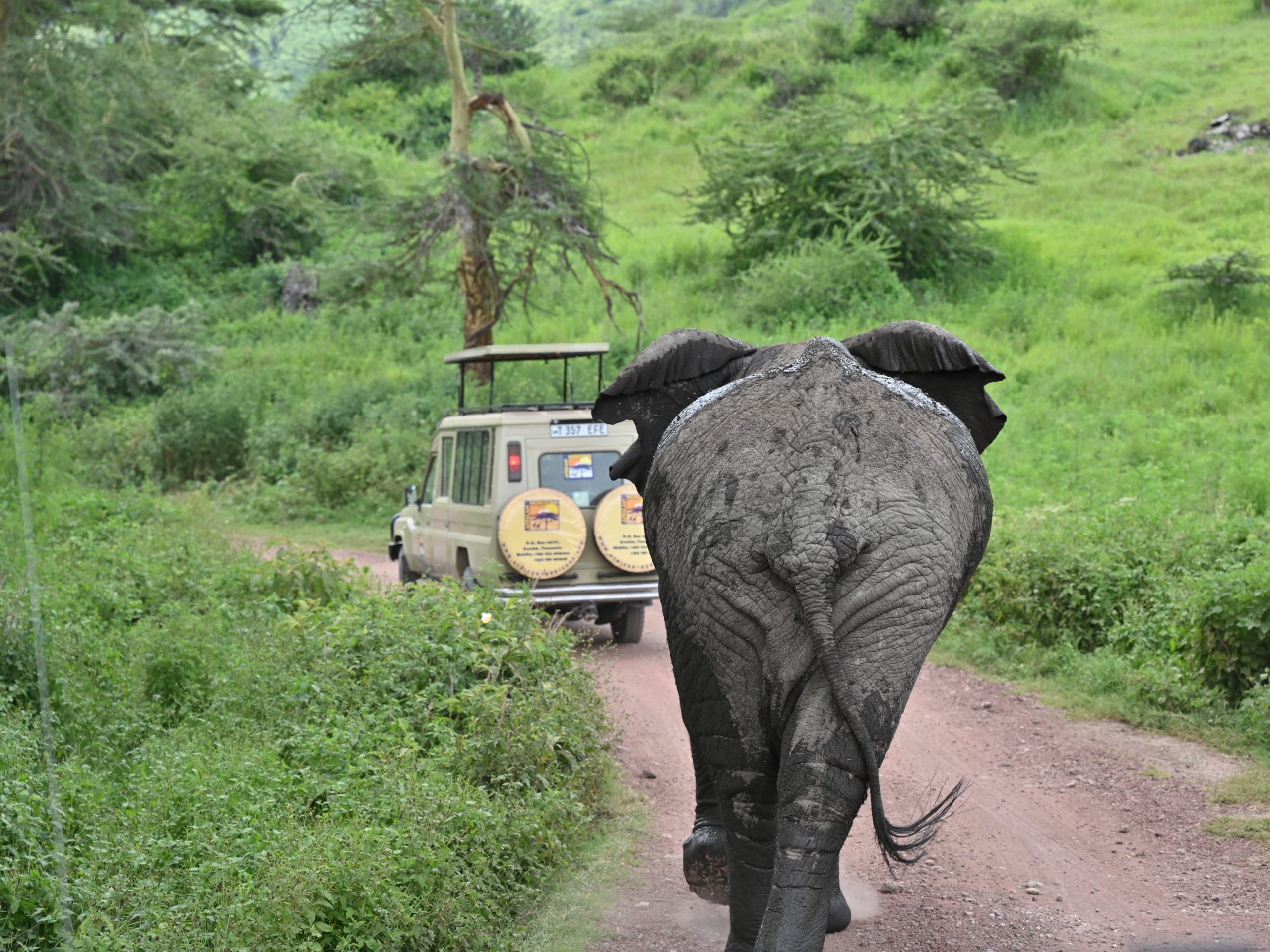  Africa Yoga Retreat