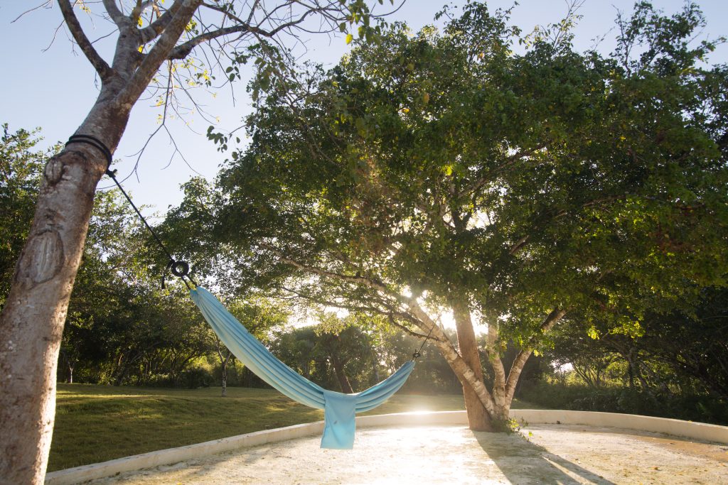 Oceanfront Ayurvedic Detox & Reset