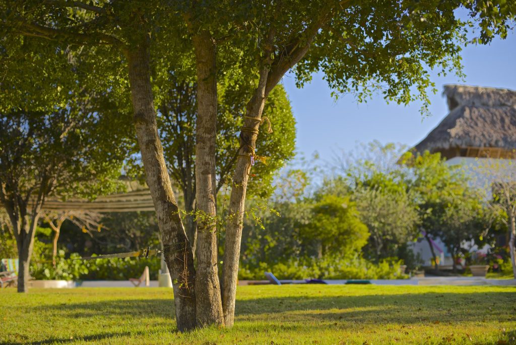 Oceanfront Ayurvedic Detox & Reset