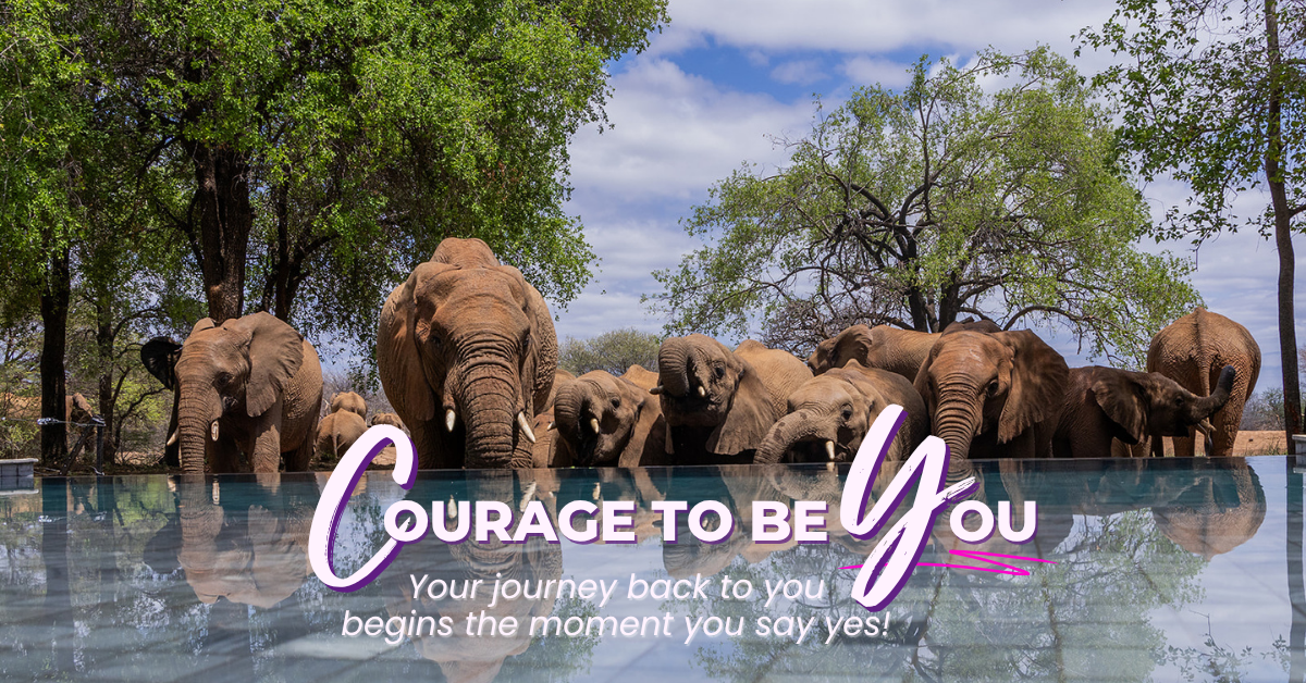 A group of elephants stand at the edge of a swimming pool at Black Rhino Game Reserve in Pilanesburg National Park, with blue skies and trees in background. Overlaid with text: Courage To be You: your journey back to you begins the moment you say yes!