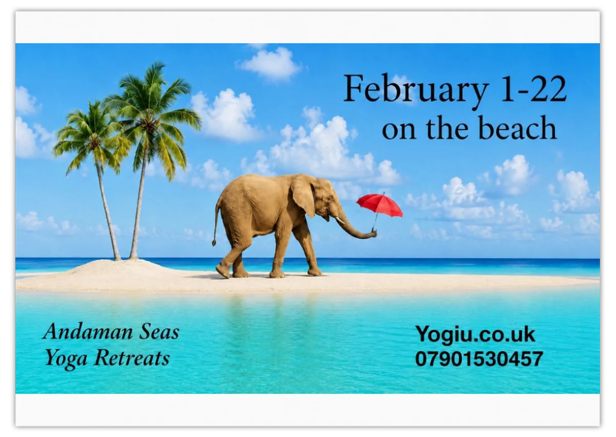 Three week deep immersive training course. A total escape into yoga.
