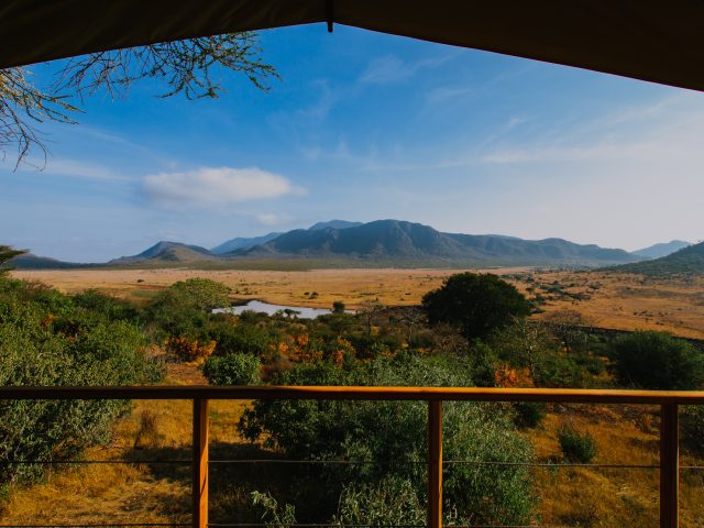 “Return to the Wild Self” Safari and Yoga Retreat