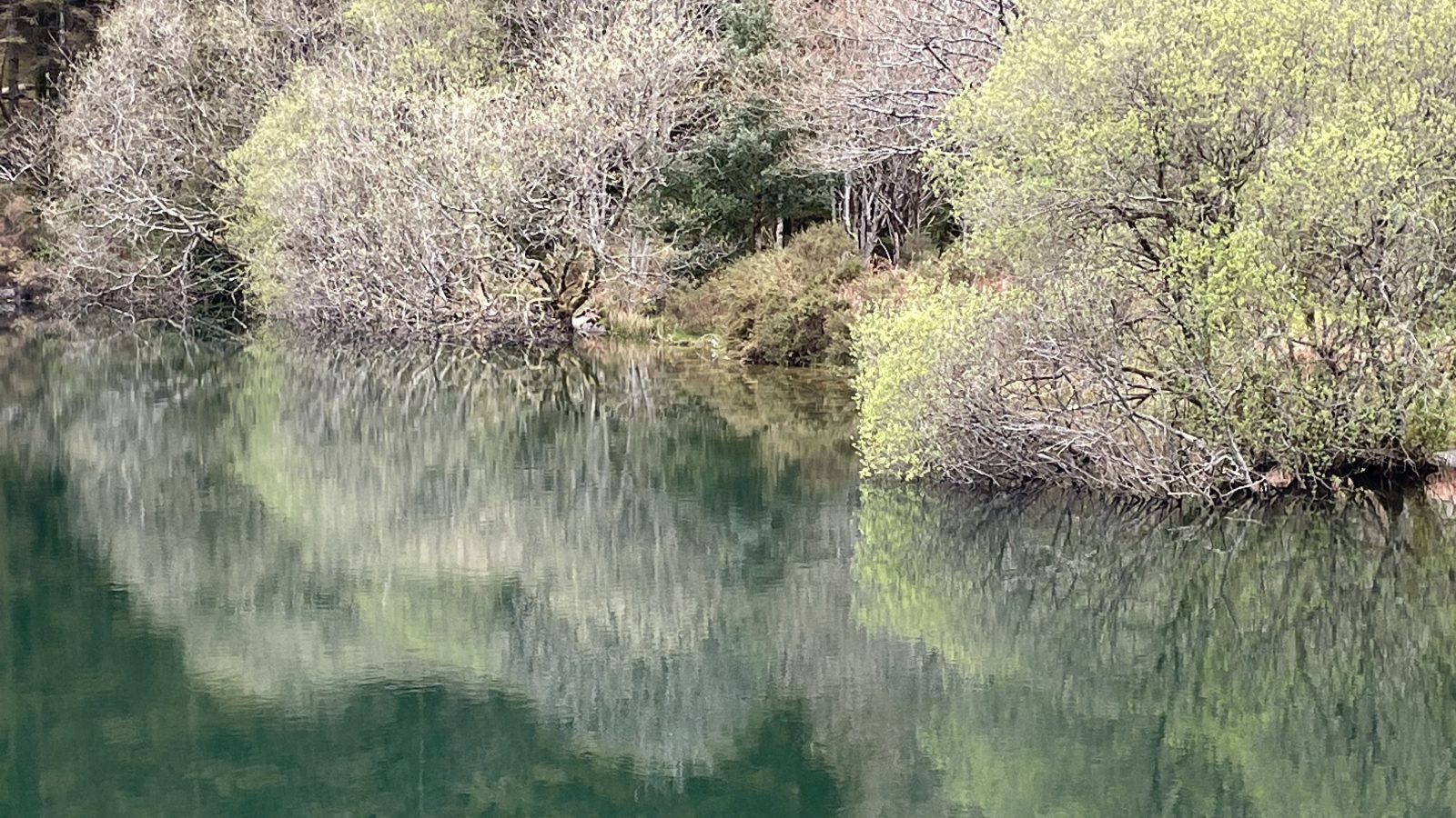 Women's Meditation 1/2 day Retreat