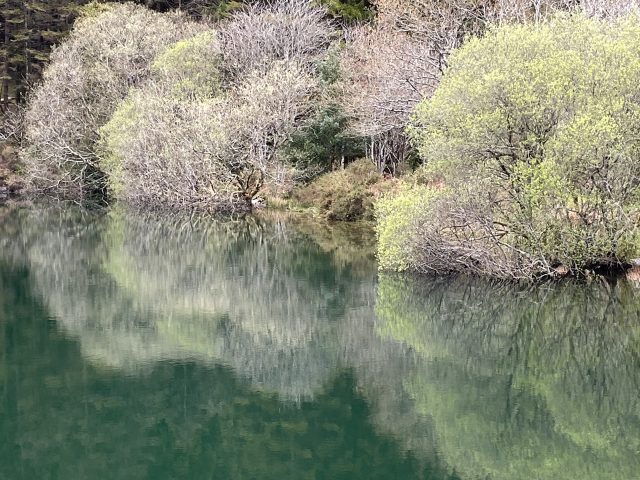 Women's Meditation 1/2 day Retreat